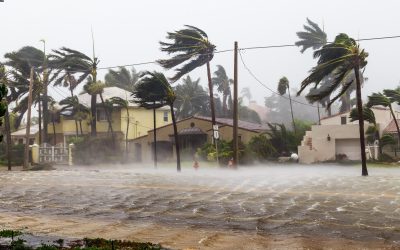 Protect Yourself Against Hurricanes